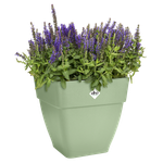 vibia campana square 30cm pistachio green